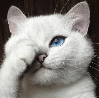💙