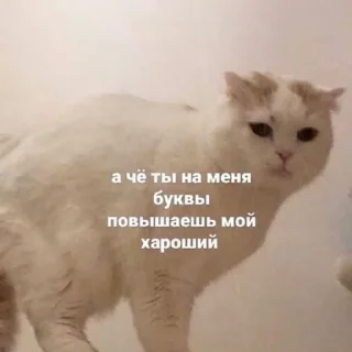 😕