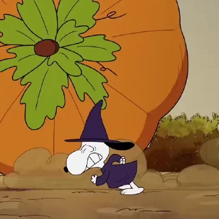 🍀