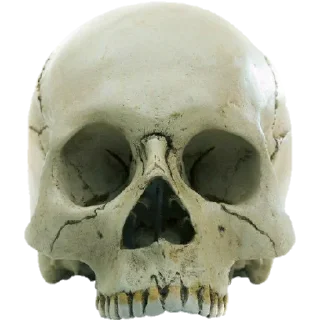 💀