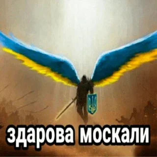 🇺🇦