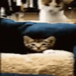 👊