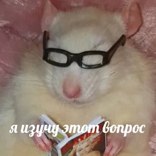 🤓