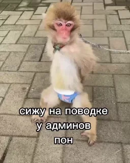 🤩
