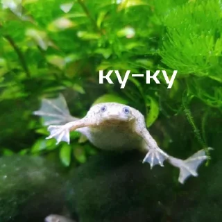 👀