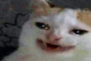 😺