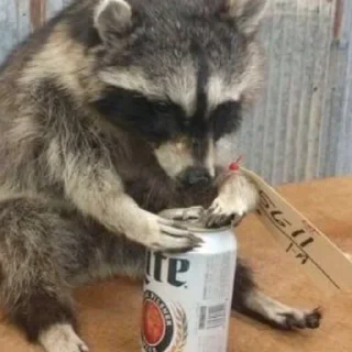 🍺