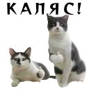 👍
