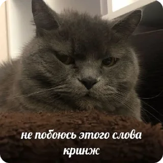 🤡