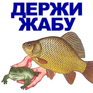 🐠
