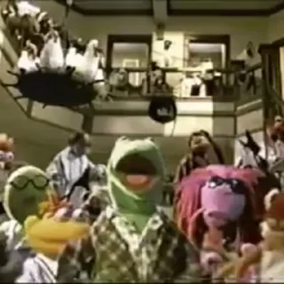 🎉