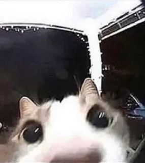 👀