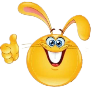 🐰