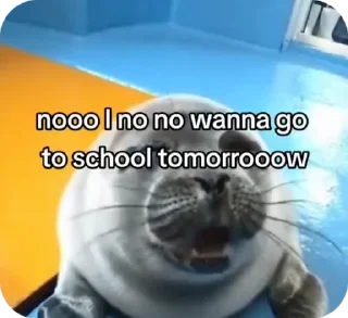 🦭