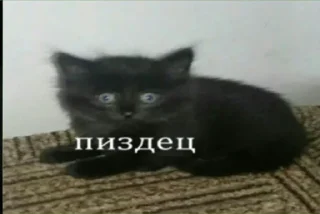 🤦