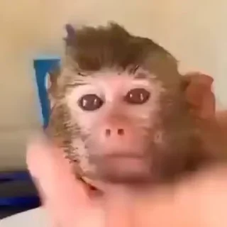 🛁