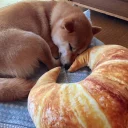 🐶