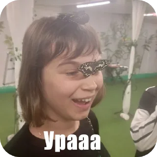 Treech