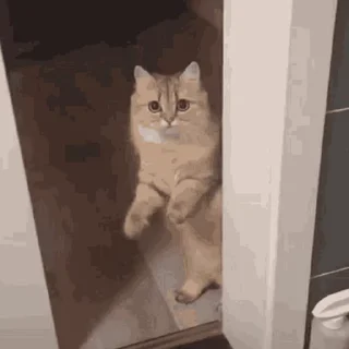 😳