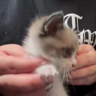 😆