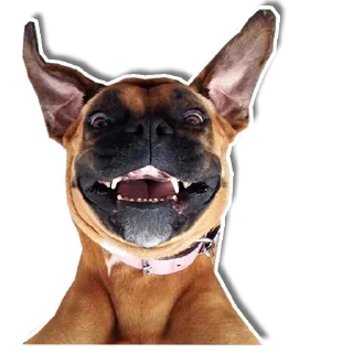 😁