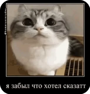 😔
