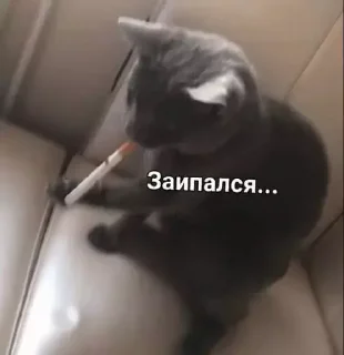 😪