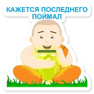 🪲
