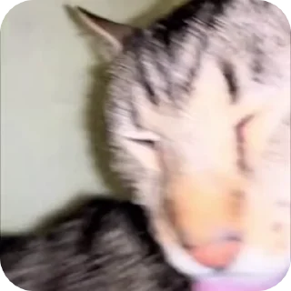 📥