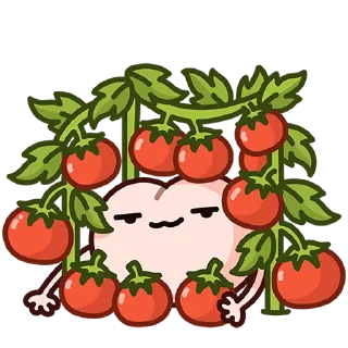 🍅