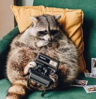 📸