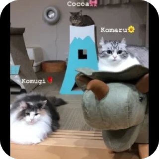 🫥
