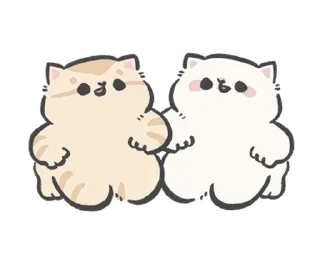 🐱