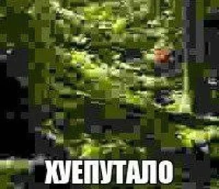 🤑