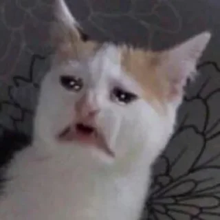 😭