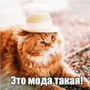 👒