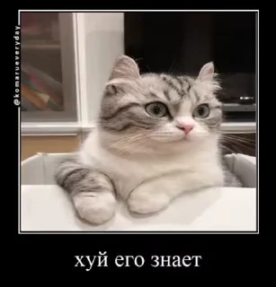 🙁