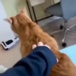 😡