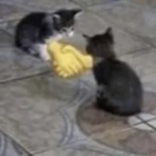 🤝