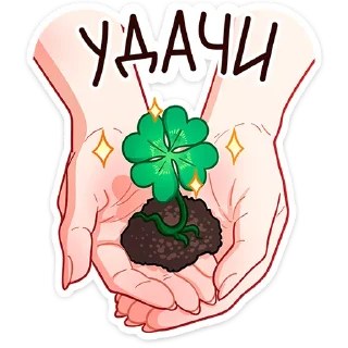 🍀