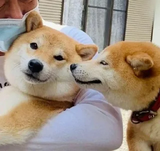 💓