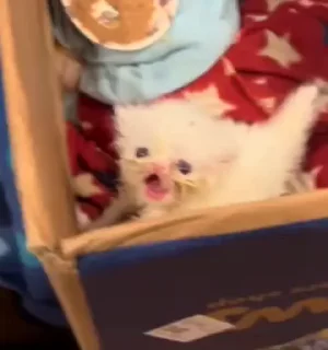 💋