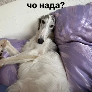 😳