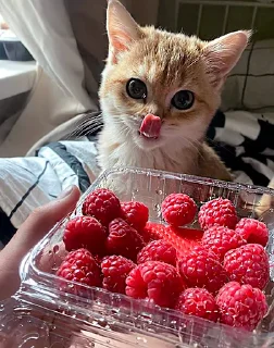 🍓