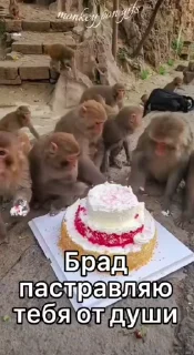 🎂