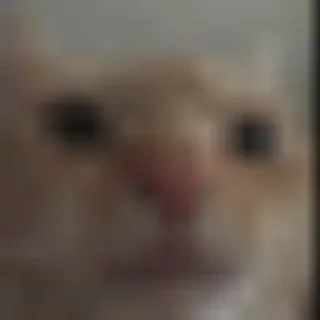 ⬆️