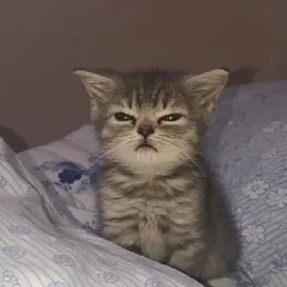 😑