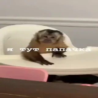 🧔‍♂