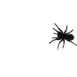 🕷