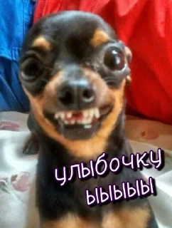 😊